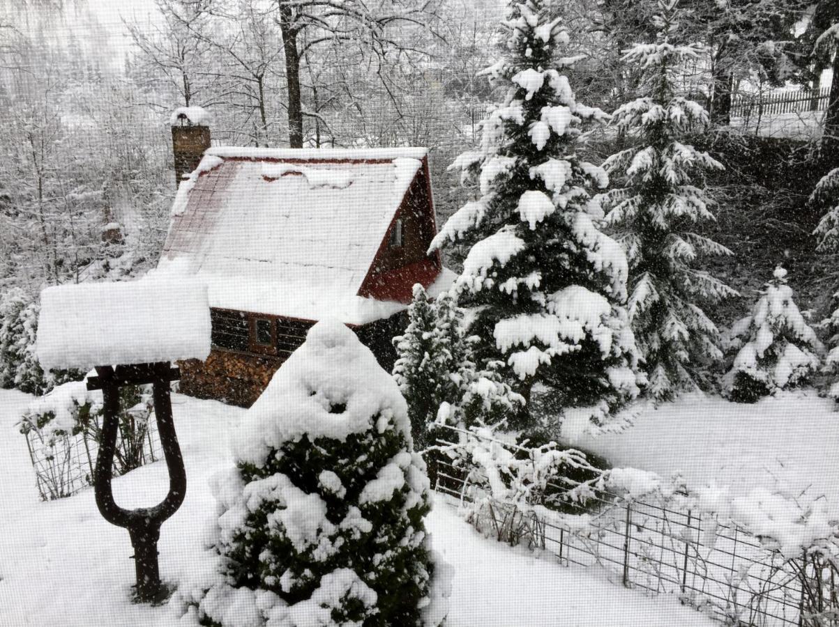Chata Fortuna Dolní Lomná Bagian luar foto